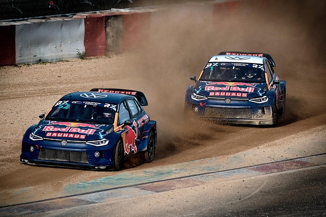 大型体育赛 大型体育赛